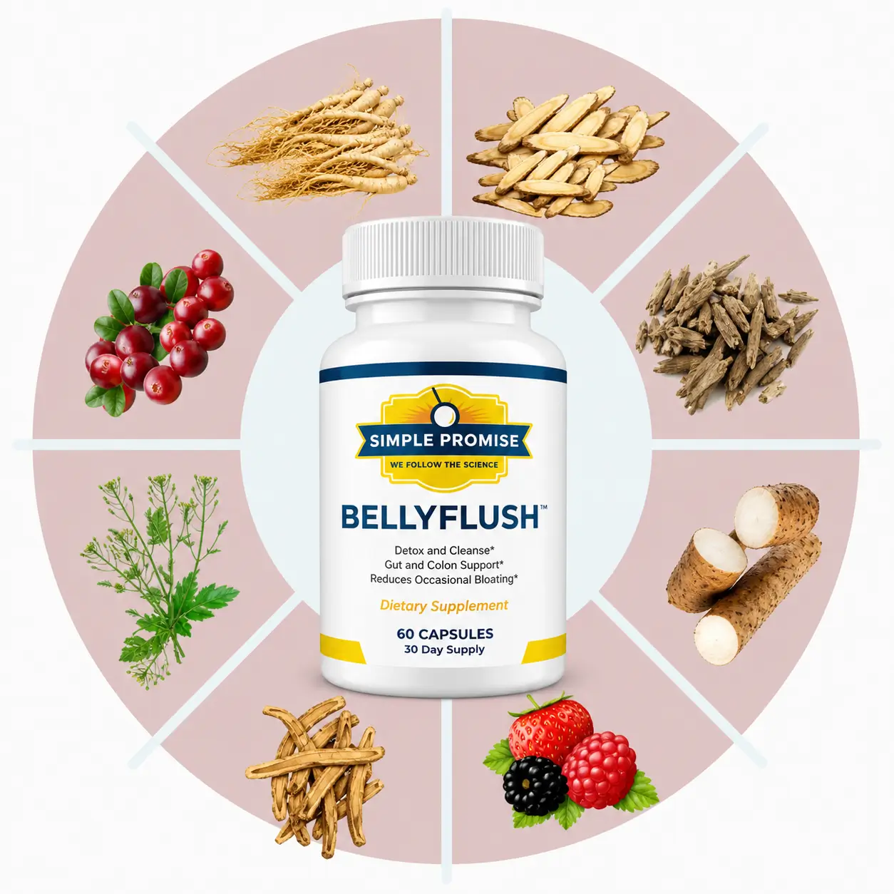 Belly Flush Ingredients